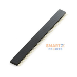 40 Pin Female Header Berg Strip