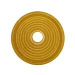 Yellow Speaker Spider