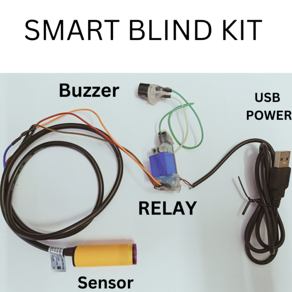 smart blind stick