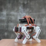 micro quadruped kit