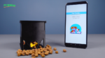 automatic pet feeder