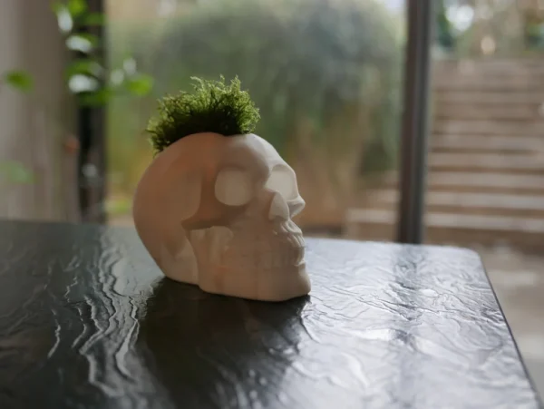 3D printed skull planter
