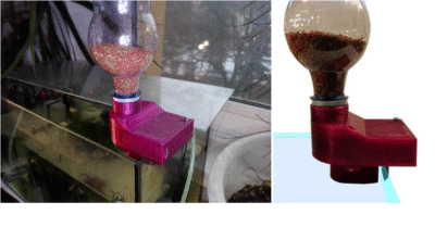 fish feed