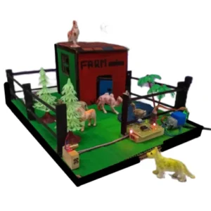 science fair project